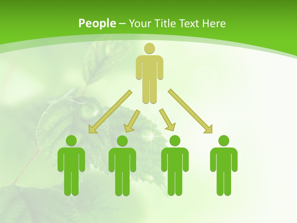 Beautiful Fresh Leaves With Water Drops PowerPoint Template