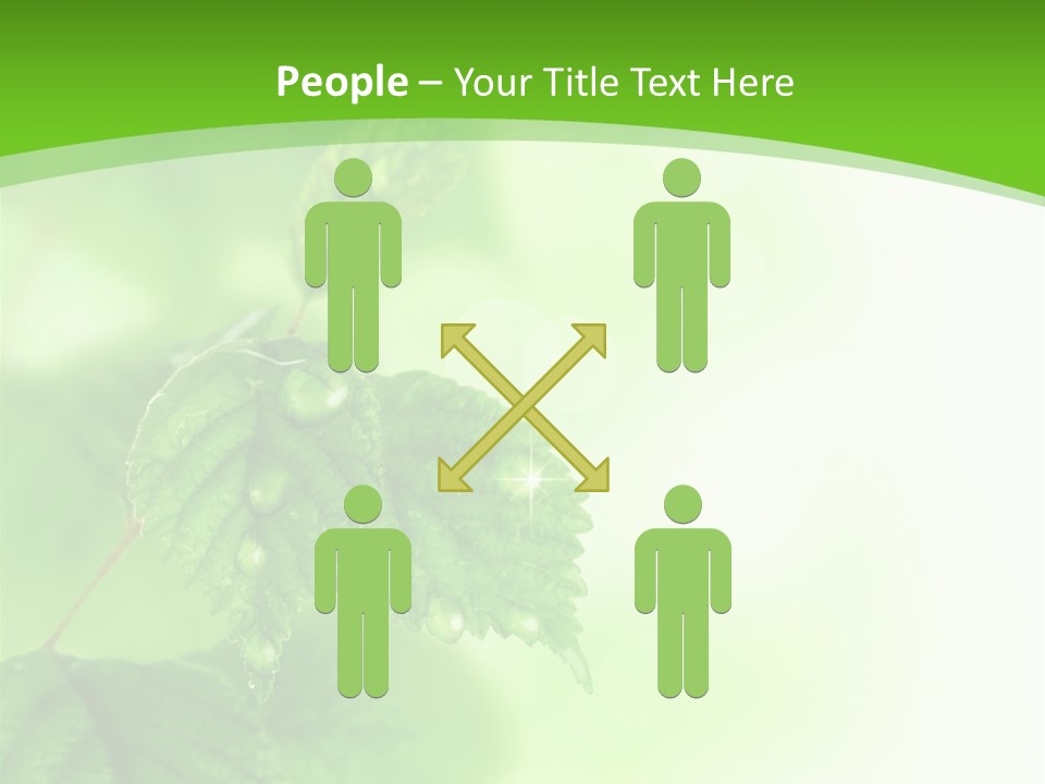 Beautiful Fresh Leaves With Water Drops PowerPoint Template