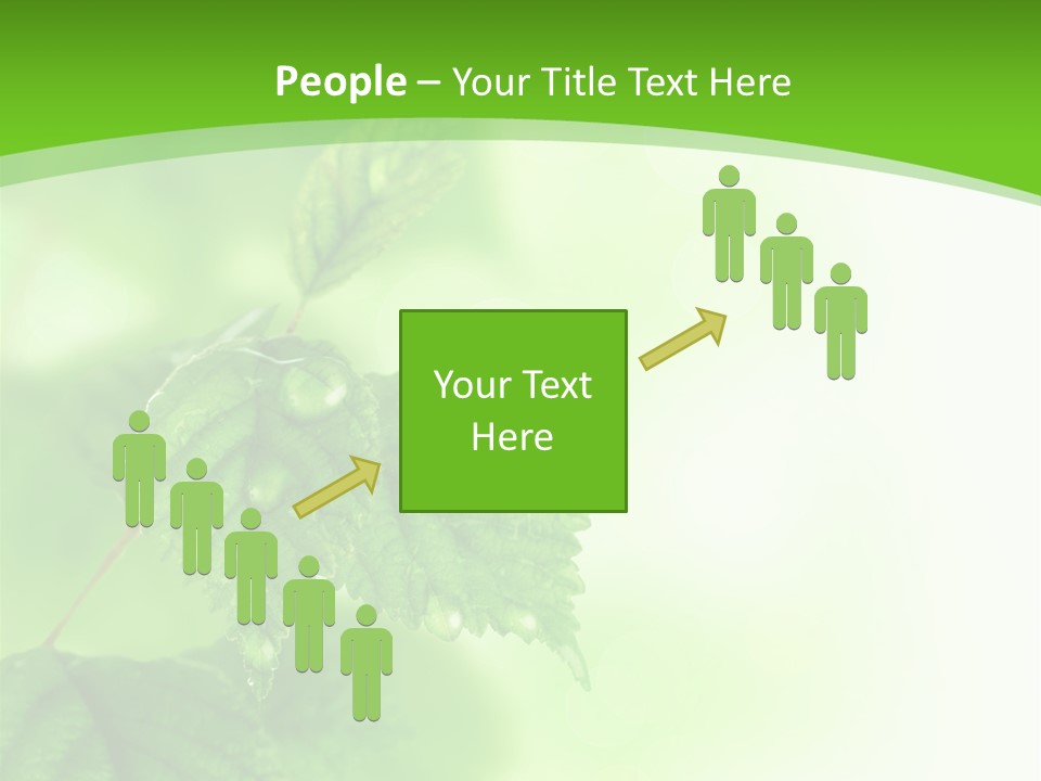 Beautiful Fresh Leaves With Water Drops PowerPoint Template