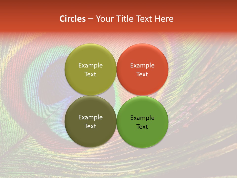 Peacock Feathers Background PowerPoint Template