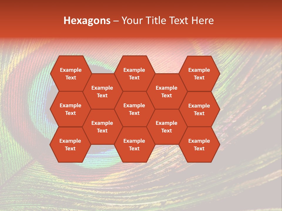 Peacock Feathers Background PowerPoint Template