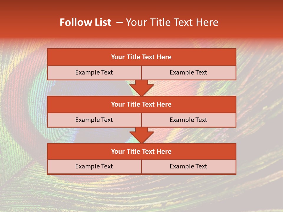 Peacock Feathers Background PowerPoint Template