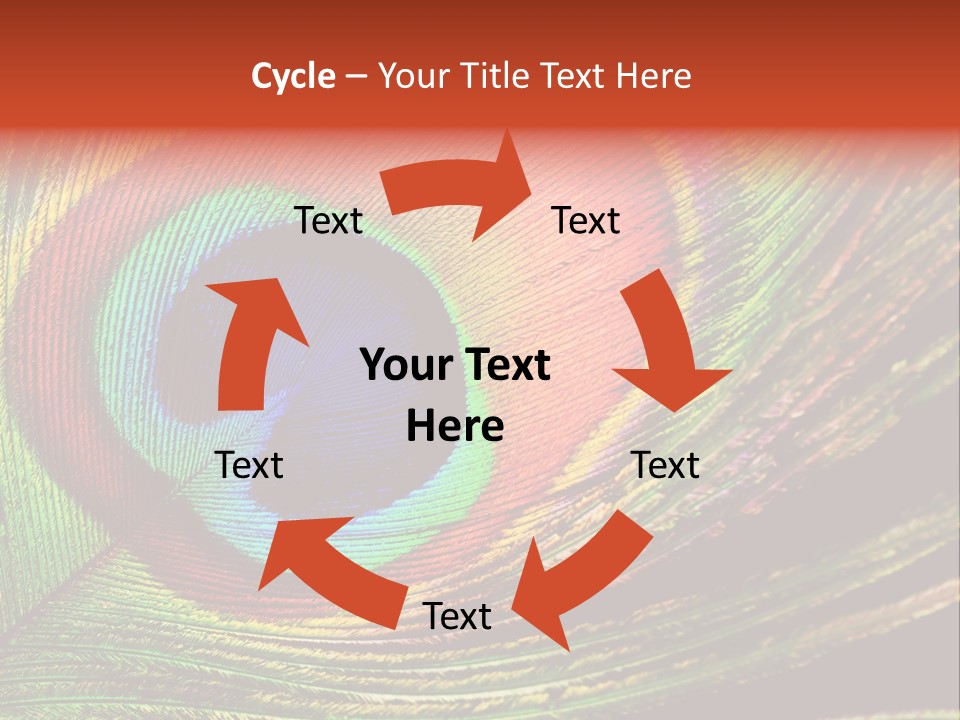 Peacock Feathers Background PowerPoint Template