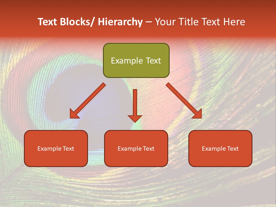 Peacock Feathers Background PowerPoint Template