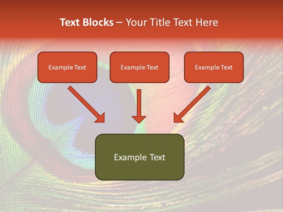 Peacock Feathers Background PowerPoint Template