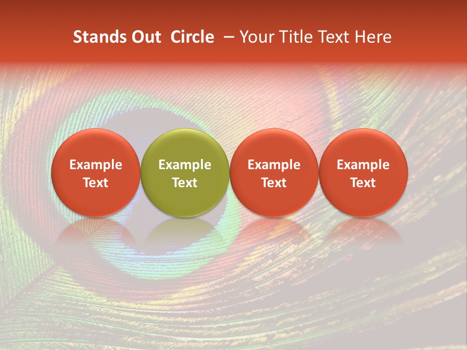 Peacock Feathers Background PowerPoint Template