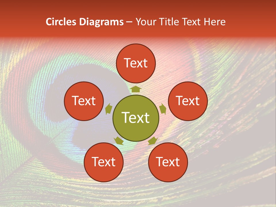 Peacock Feathers Background PowerPoint Template