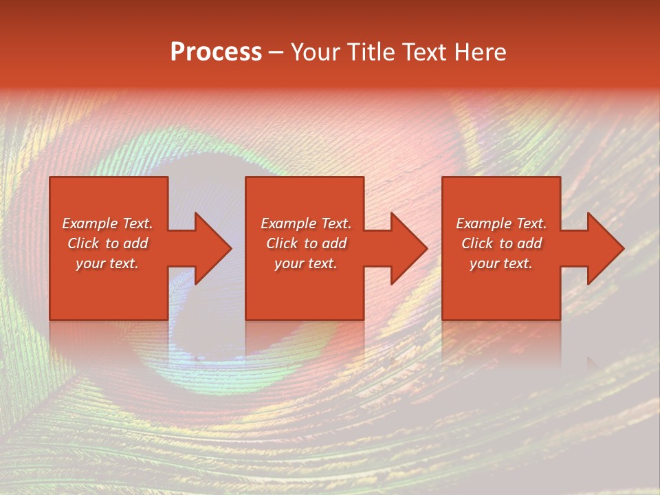 Peacock Feathers Background PowerPoint Template