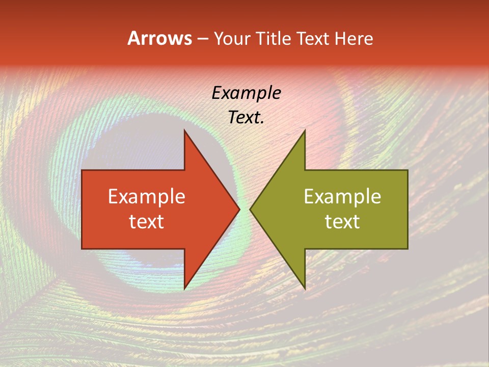 Peacock Feathers Background PowerPoint Template