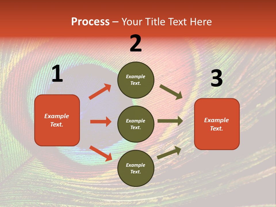 Peacock Feathers Background PowerPoint Template