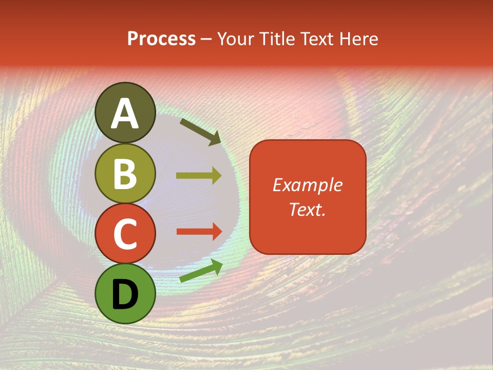 Peacock Feathers Background PowerPoint Template