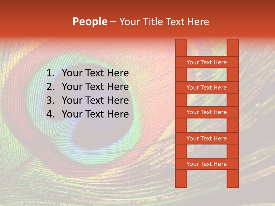 Peacock Feathers Background PowerPoint Template