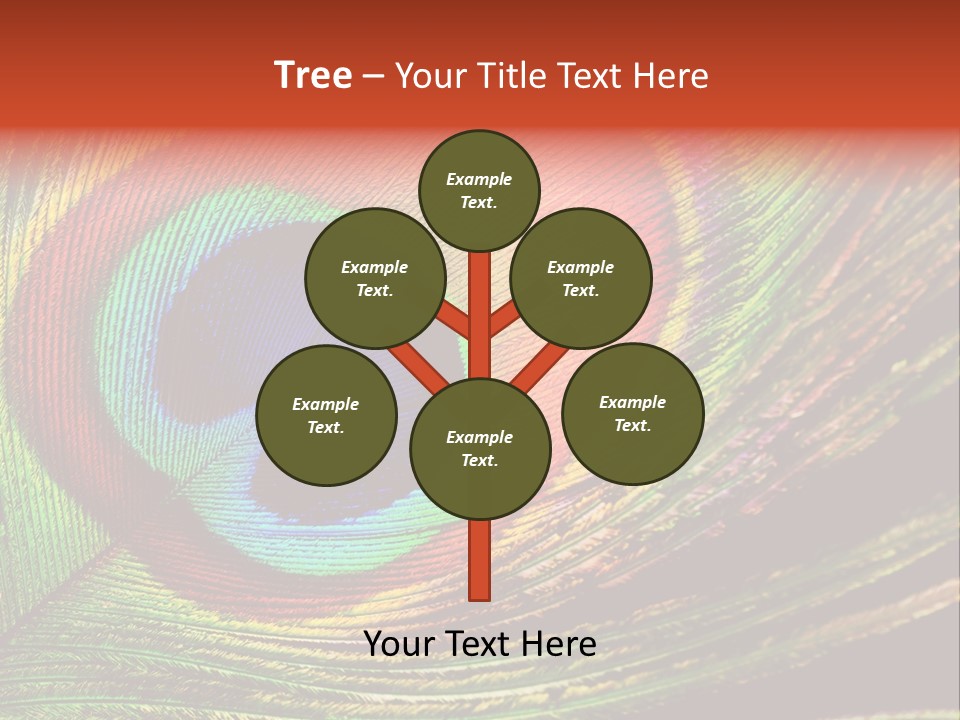 Peacock Feathers Background PowerPoint Template