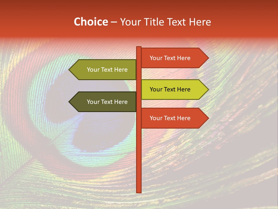 Peacock Feathers Background PowerPoint Template