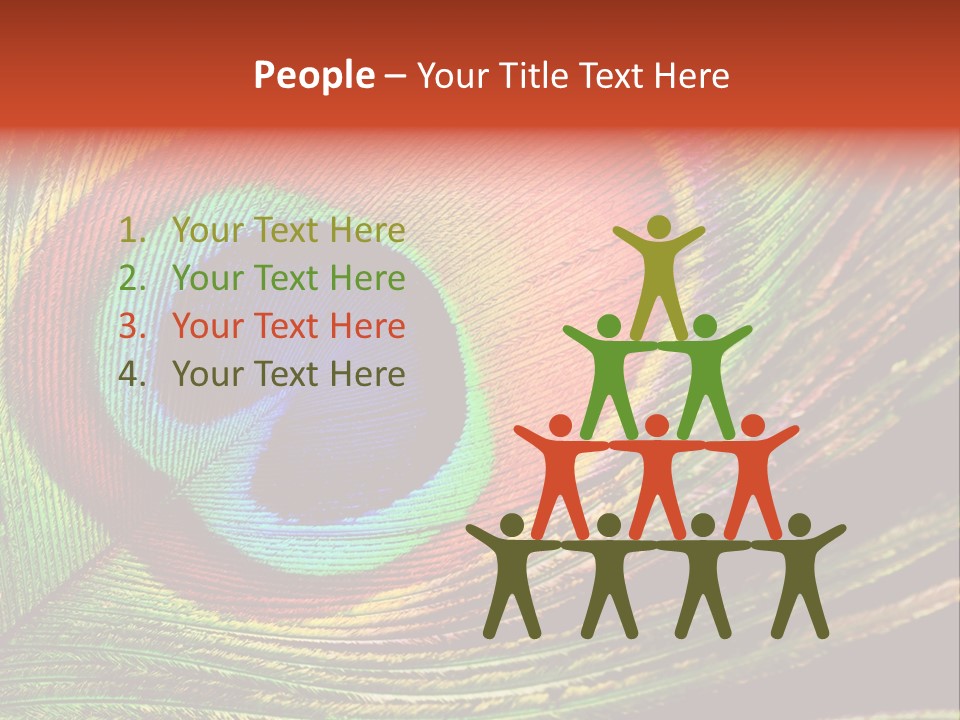 Peacock Feathers Background PowerPoint Template