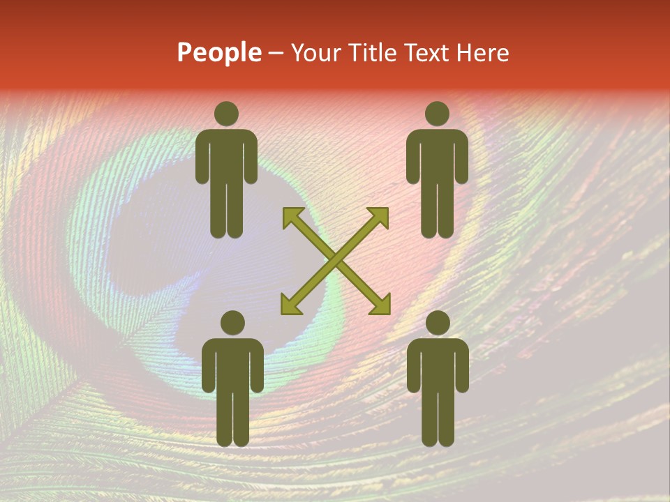 Peacock Feathers Background PowerPoint Template