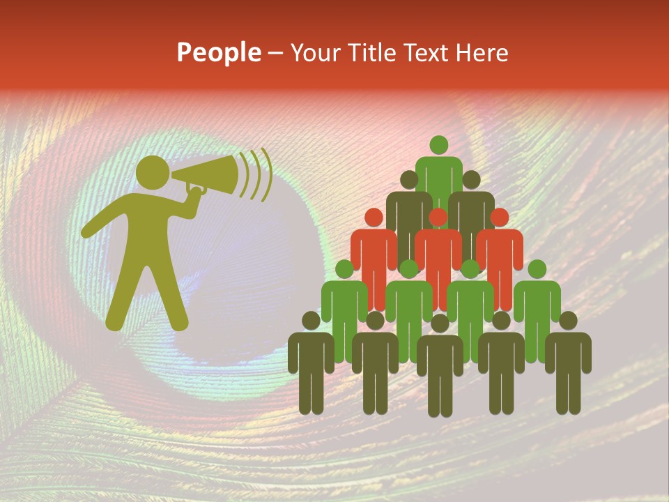 Peacock Feathers Background PowerPoint Template