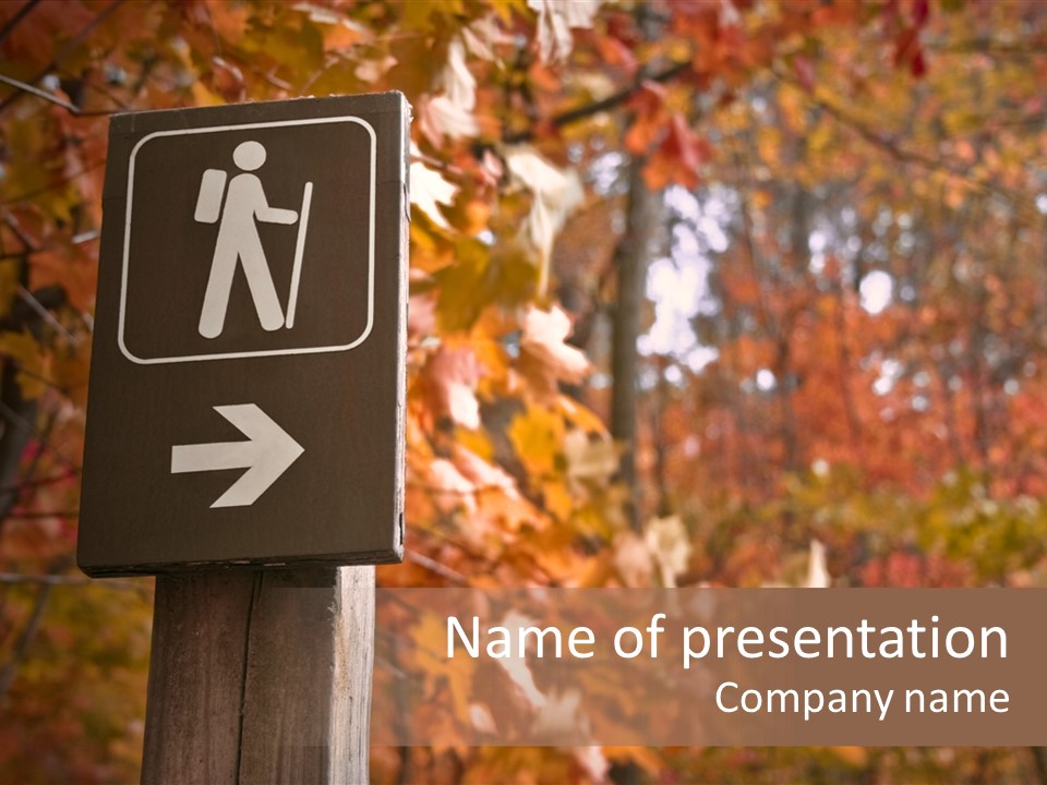 Sign Points To A Hiking Trail In Woods In Autumn PowerPoint Template