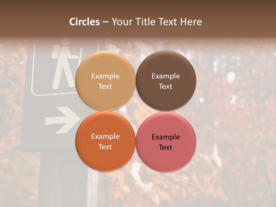 Sign Points To A Hiking Trail In Woods In Autumn PowerPoint Template