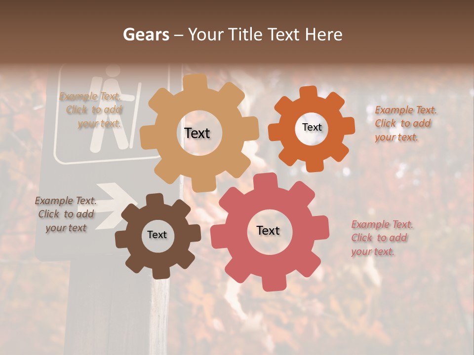 Sign Points To A Hiking Trail In Woods In Autumn PowerPoint Template