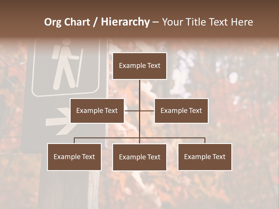 Sign Points To A Hiking Trail In Woods In Autumn PowerPoint Template
