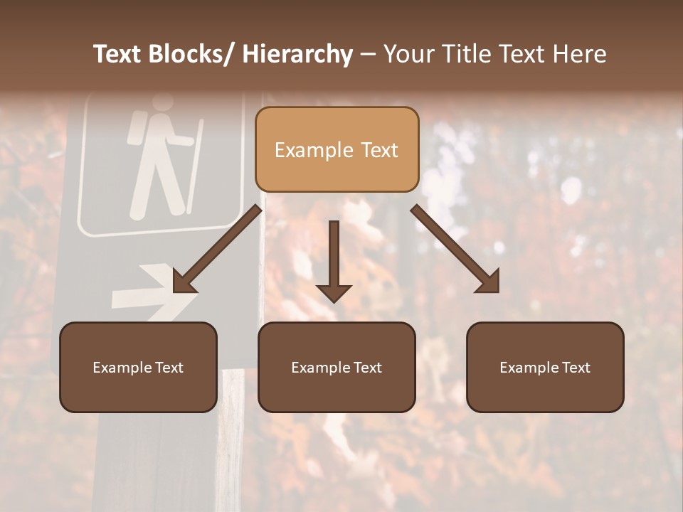 Sign Points To A Hiking Trail In Woods In Autumn PowerPoint Template