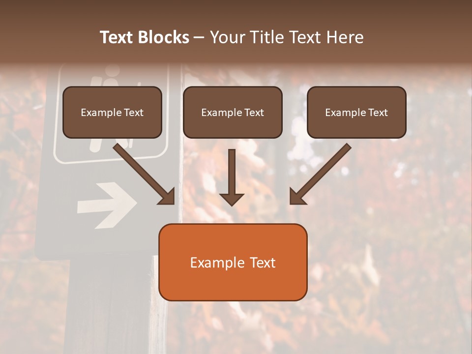 Sign Points To A Hiking Trail In Woods In Autumn PowerPoint Template