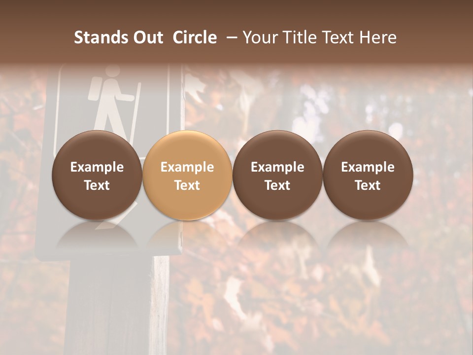 Sign Points To A Hiking Trail In Woods In Autumn PowerPoint Template