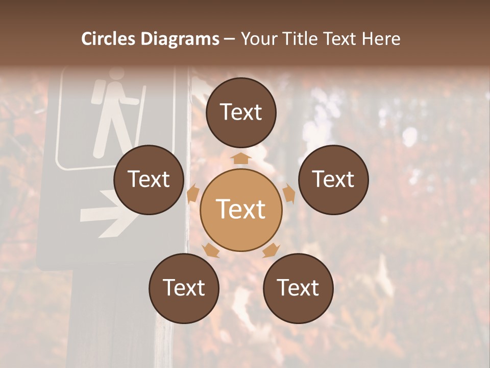Sign Points To A Hiking Trail In Woods In Autumn PowerPoint Template