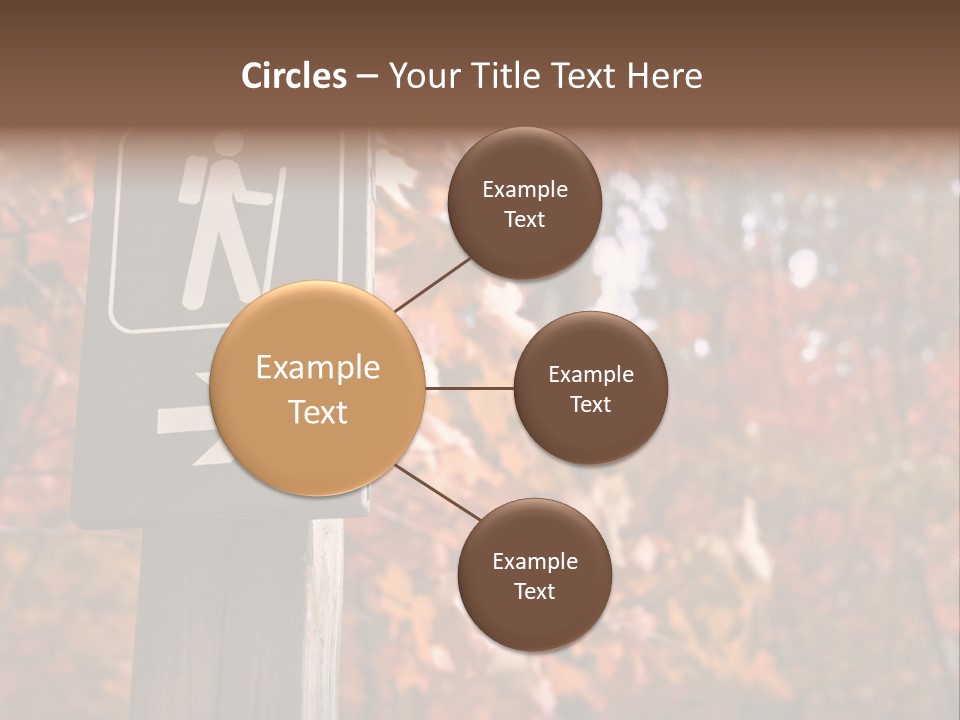 Sign Points To A Hiking Trail In Woods In Autumn PowerPoint Template