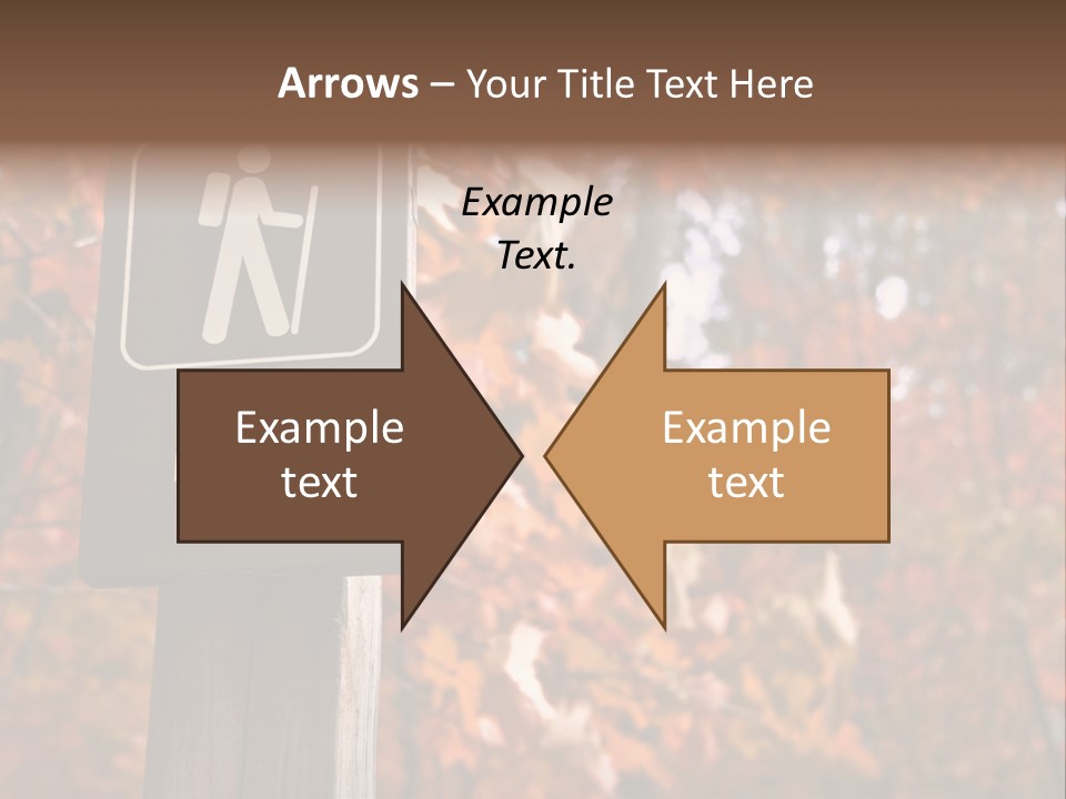 Sign Points To A Hiking Trail In Woods In Autumn PowerPoint Template