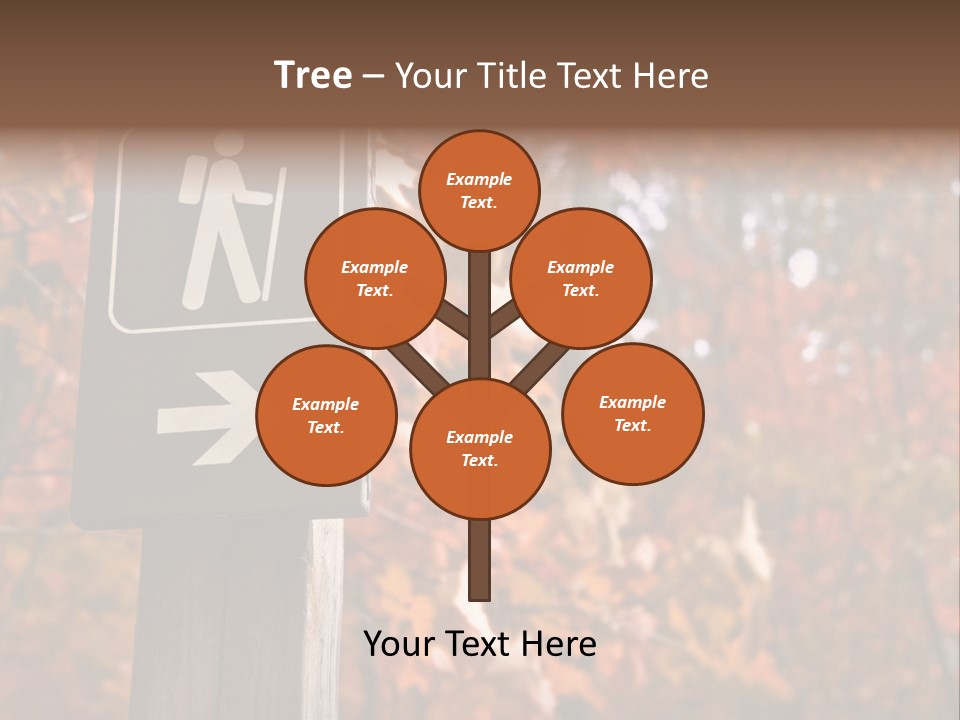 Sign Points To A Hiking Trail In Woods In Autumn PowerPoint Template