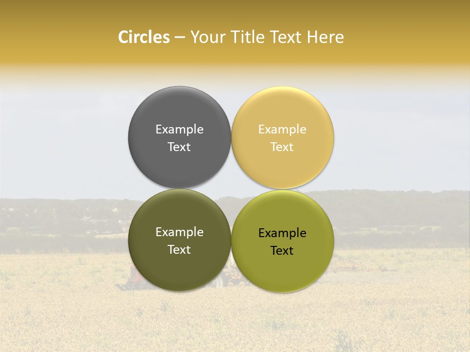 A Tractor Mounted Crop Sprayer In Action In A Wheatfield PowerPoint Template
