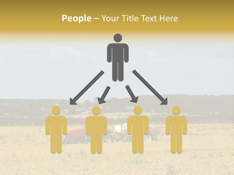 A Tractor Mounted Crop Sprayer In Action In A Wheatfield PowerPoint Template