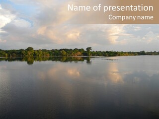 Mirrored Rainforest Line On The Rio Negro In The Amazon River Basin, Brazil, South America PowerPoint Template