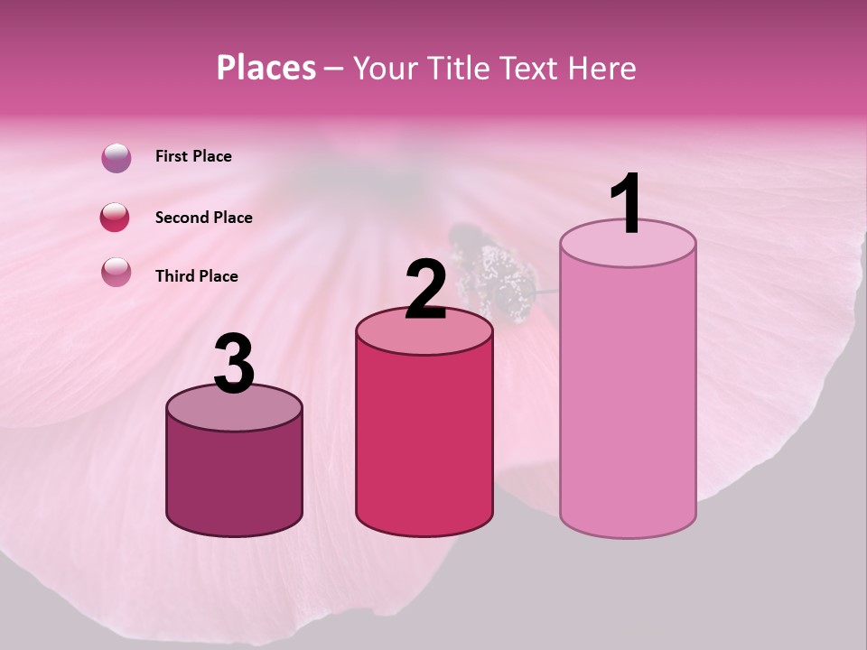 Pink Flower With A Little Fly On It. PowerPoint Template