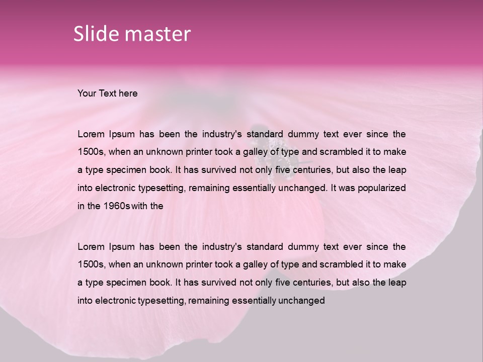 Pink Flower With A Little Fly On It. PowerPoint Template