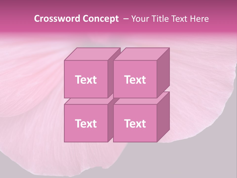 Pink Flower With A Little Fly On It. PowerPoint Template