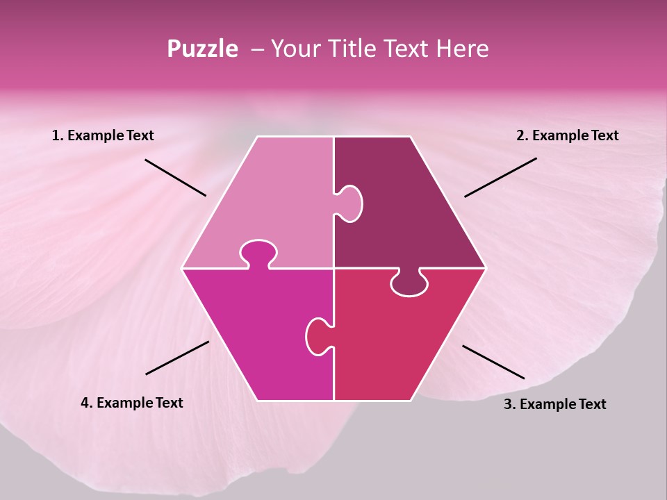 Pink Flower With A Little Fly On It. PowerPoint Template
