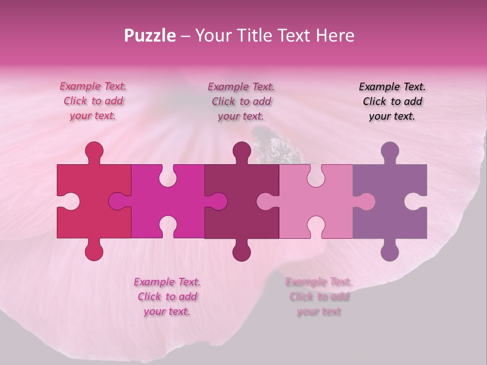 Pink Flower With A Little Fly On It. PowerPoint Template