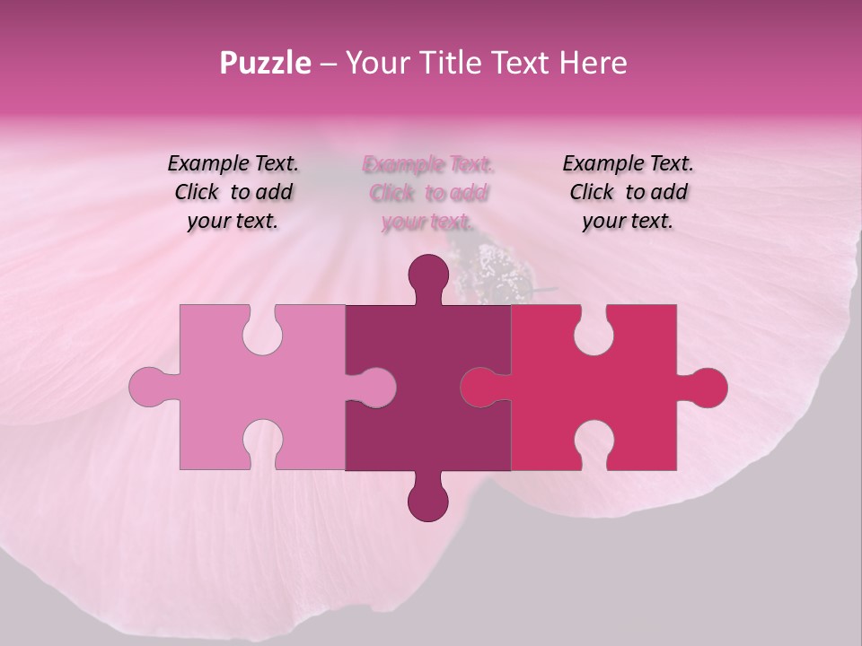 Pink Flower With A Little Fly On It. PowerPoint Template