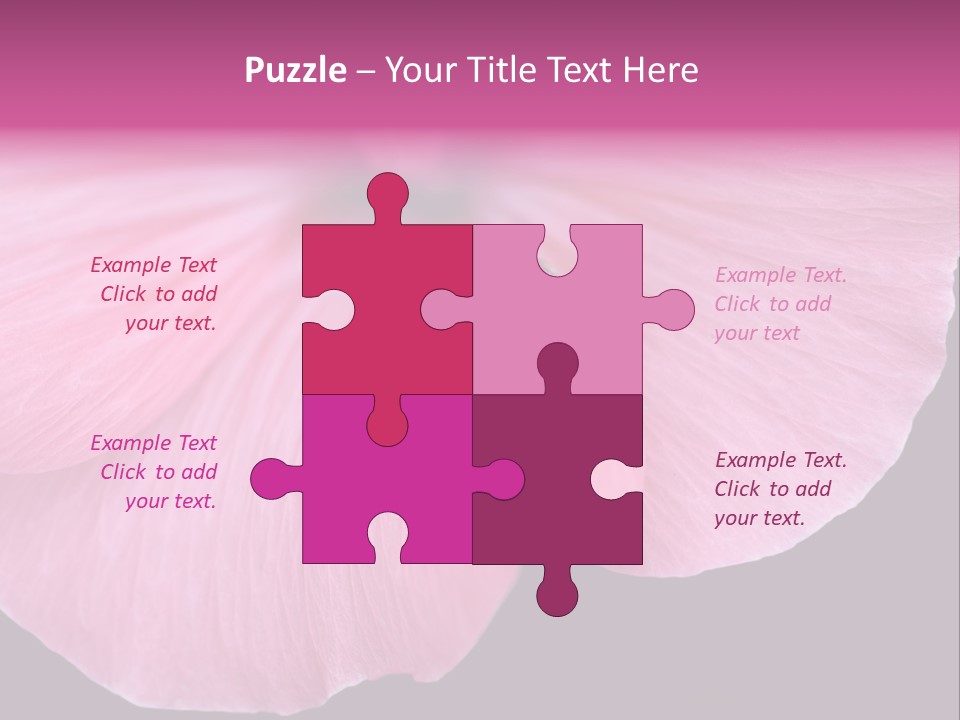 Pink Flower With A Little Fly On It. PowerPoint Template