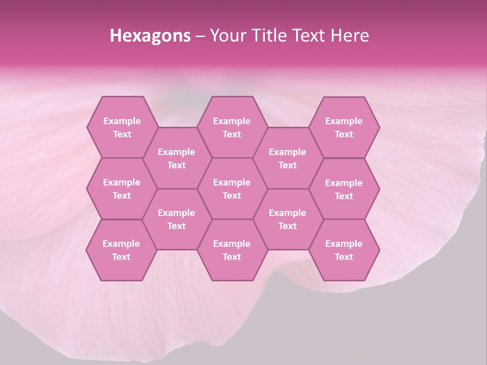 Pink Flower With A Little Fly On It. PowerPoint Template