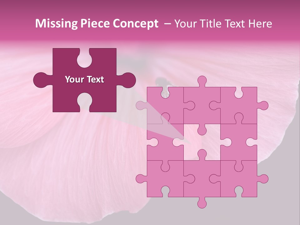 Pink Flower With A Little Fly On It. PowerPoint Template