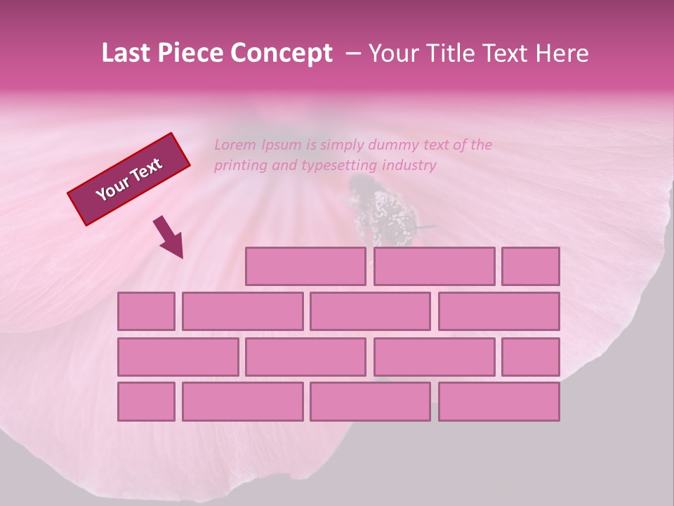 Pink Flower With A Little Fly On It. PowerPoint Template