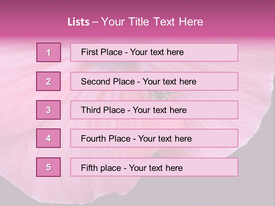 Pink Flower With A Little Fly On It. PowerPoint Template