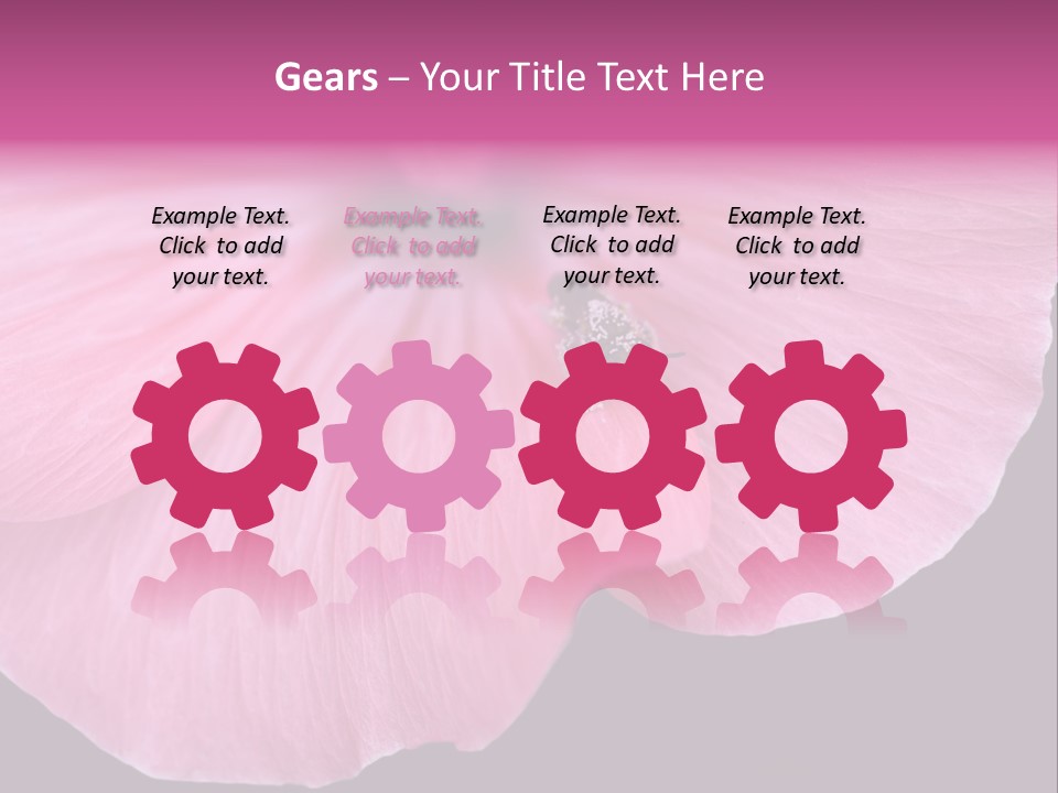 Pink Flower With A Little Fly On It. PowerPoint Template