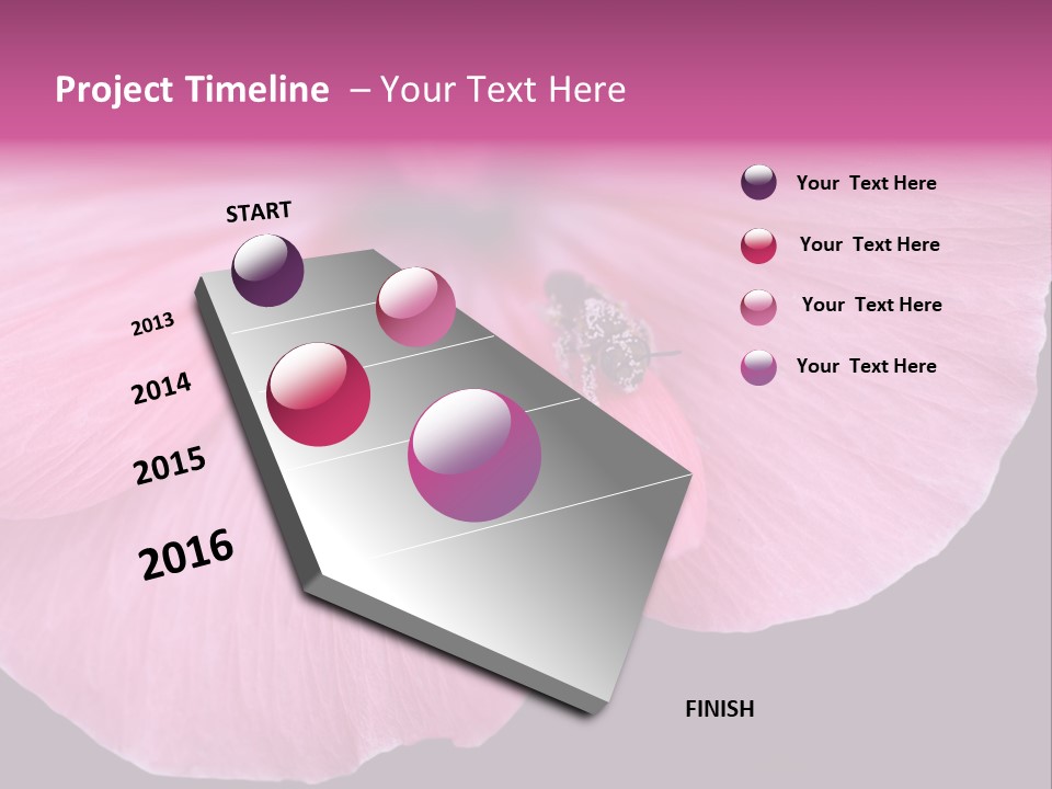 Pink Flower With A Little Fly On It. PowerPoint Template