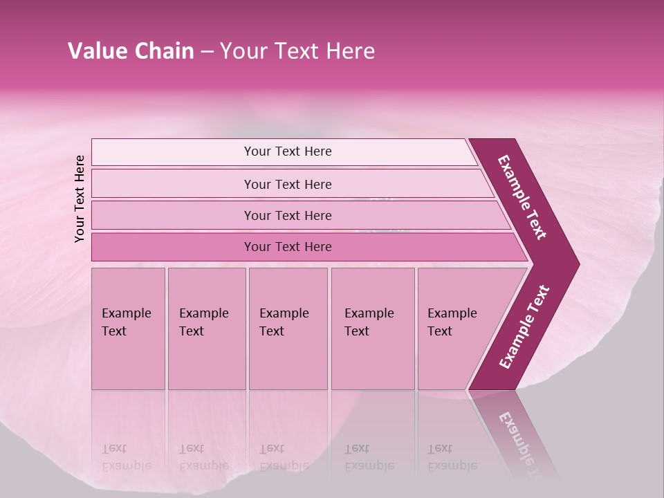 Pink Flower With A Little Fly On It. PowerPoint Template