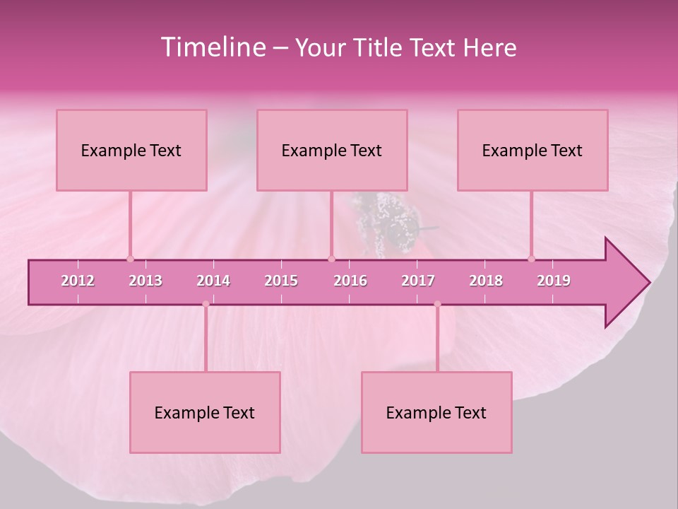 Pink Flower With A Little Fly On It. PowerPoint Template